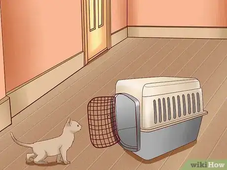 Image titled Travel Long Distance With a Cat Step 5