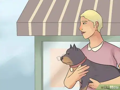 Image titled Take Care of Pets During a Hurricane Step 6
