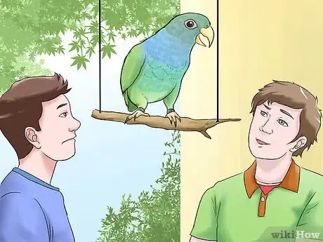 Image titled Know if a Pionus Parrot Is Right for You Step 10