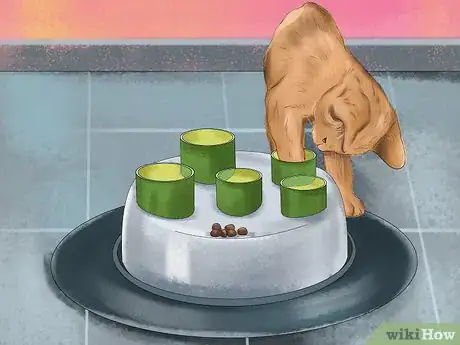 Image titled Keep a Cat's Mind Active Step 7