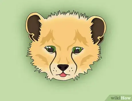 Image titled Draw a Cute Animal Face (Front View) Intro