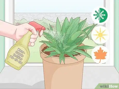 Image titled Grow Agave Plants Step 13