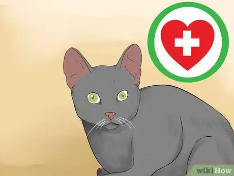 Image titled Get Your Cat to Know and Love You Step 14