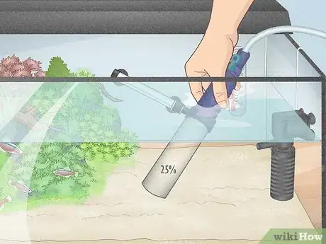Image titled Prevent Algae Growth in a Freshwater Aquarium Step 8
