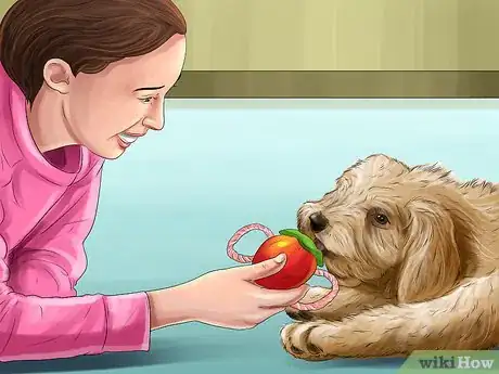 Image titled Keep Kids’ Toys Away from Dogs Step 9