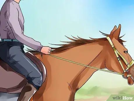 Image titled Be Comfortable Around a Bad‐Tempered Horse Step 14