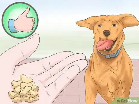 Image titled Cope With a Bad Dog Step 10