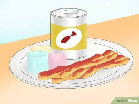 Image titled Trap Raccoons Step 5