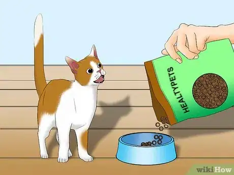 Image titled Avoid Losing Your Cat Step 7