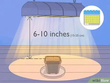 Image titled Raise Carnivorous Plants Step 13