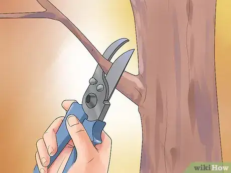 Image titled Care for a Weeping Cherry Tree Step 13