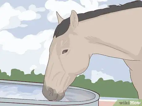 Image titled Walk a Colicking Horse Step 11