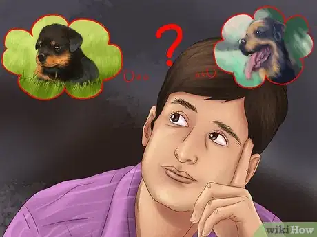 Image titled Adopt a Rottweiler Step 1