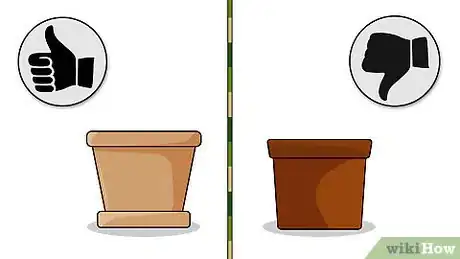 Image titled Grow Dracaena Marginata Step 2