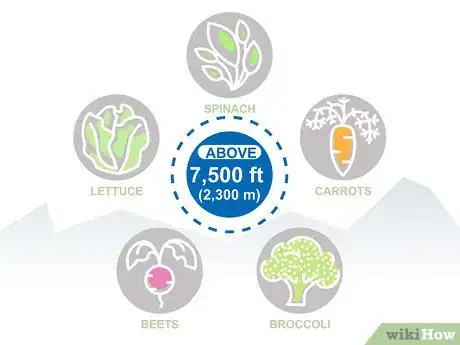 Image titled Grow Vegetables in the West Step 13
