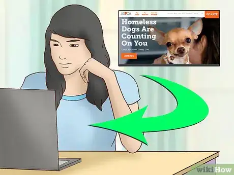 Image titled Work to Stop Horse Slaughter Step 2