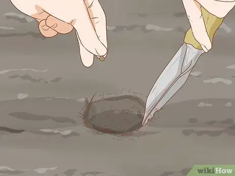 Image titled Grow Etlingera Elatior Step 5