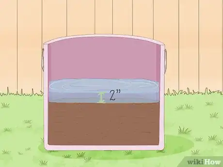 Image titled Plant Rice Indoors Step 7