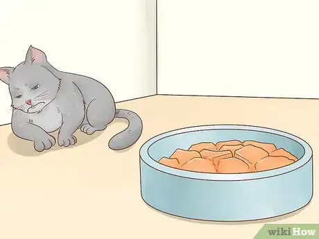 Image titled Diagnose and Treat Chlamydiosis in Cats Step 4