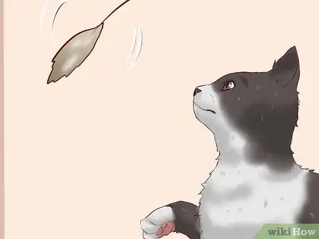 Image titled Keep a Cat from Becoming Fat and Lazy Step 8