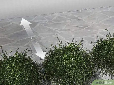 Image titled Get Rid of Spiders Outside Your Door Step 5