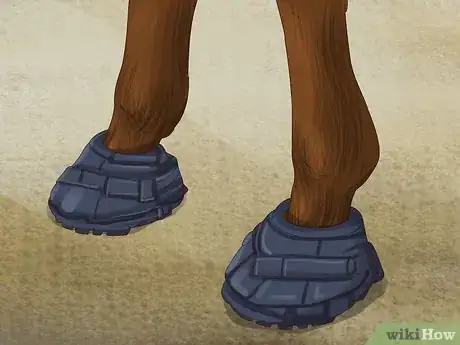 Image titled Know if Your Horse Needs Shoes Step 14