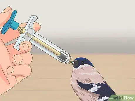 Image titled Treat Avian Pox in Finches Step 4