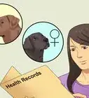 Select a Labrador Retriever