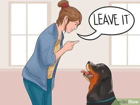 Image titled Stop Your Dog from Begging Step 6