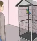Recognize Stress in Your Pet Parrot