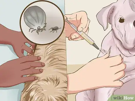 Image titled Provide Preventive Veterinary Care for Your Dog Step 10