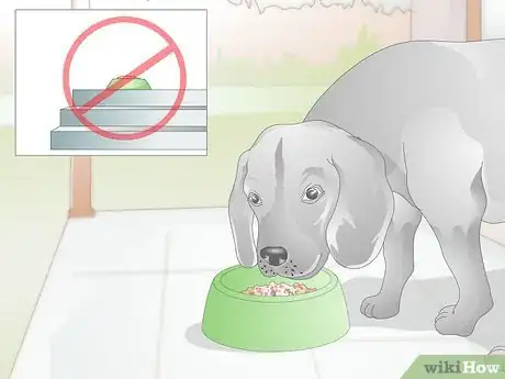 Image titled Make Feeding Comfortable for Arthritic Dogs Step 1