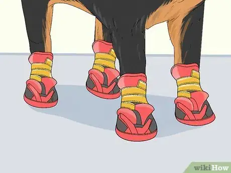 Image titled Wash a Dog's Paws Step 10