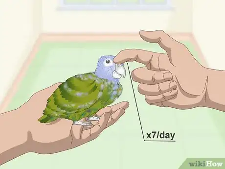 Image titled Bond with a Pionus Parrot Step 5