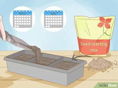 Image titled When to Plant Tomatoes Outside in the UK Step 1