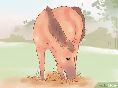 Image titled Keep a Horse from Cribbing Step 7