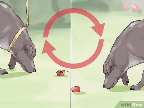 Image titled Do Short Training Sessions with Your Hunting Dog Step 10