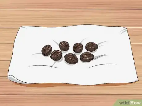 Image titled Grow Four O' Clock Flowers Step 22