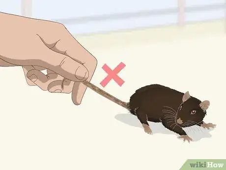 Image titled Safely Let a Mouse Out of Its Cage Step 7