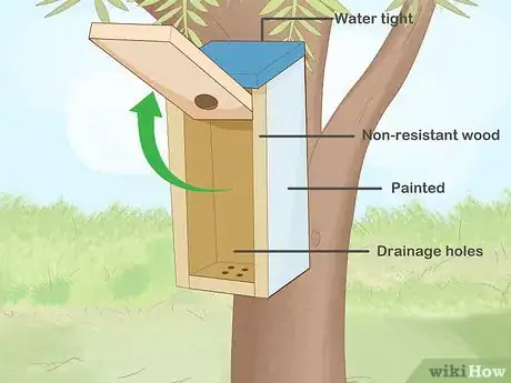 Image titled Attract Eastern Bluebirds Step 1