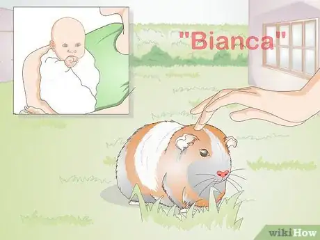 Image titled Choose Your Guinea Pig's Name Step 6