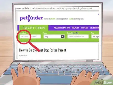 Image titled Foster Shelter Dogs Step 5