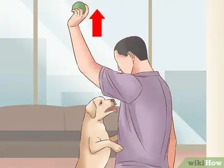 Image titled Choose a Training Program for Your Dog Step 7
