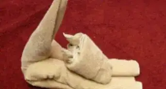 Fold a Towel Cat