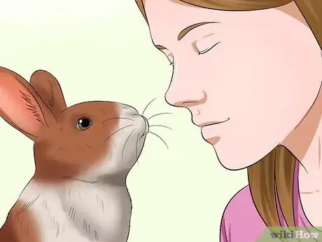 Image titled Diagnose Dental Problems in Rabbits Step 6
