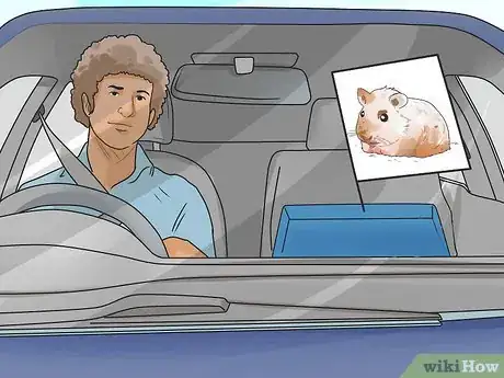 Image titled Travel With a Small Pet Step 12