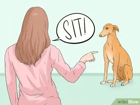 Image titled Keep Your Dog Comfortable Indoors Step 5