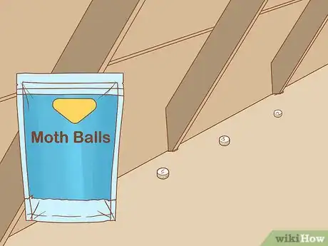 Image titled Get Rid of Squirrels in the Attic Step 5