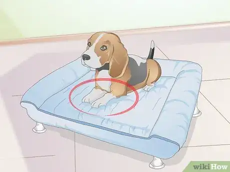 Image titled Select a Dog Bed Step 3