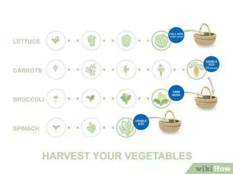 Image titled Grow Vegetables in the West Step 06